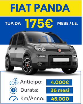 immagine offerta Fiat Panda